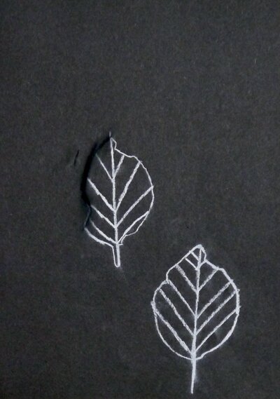 Leaves - Leaf - 33